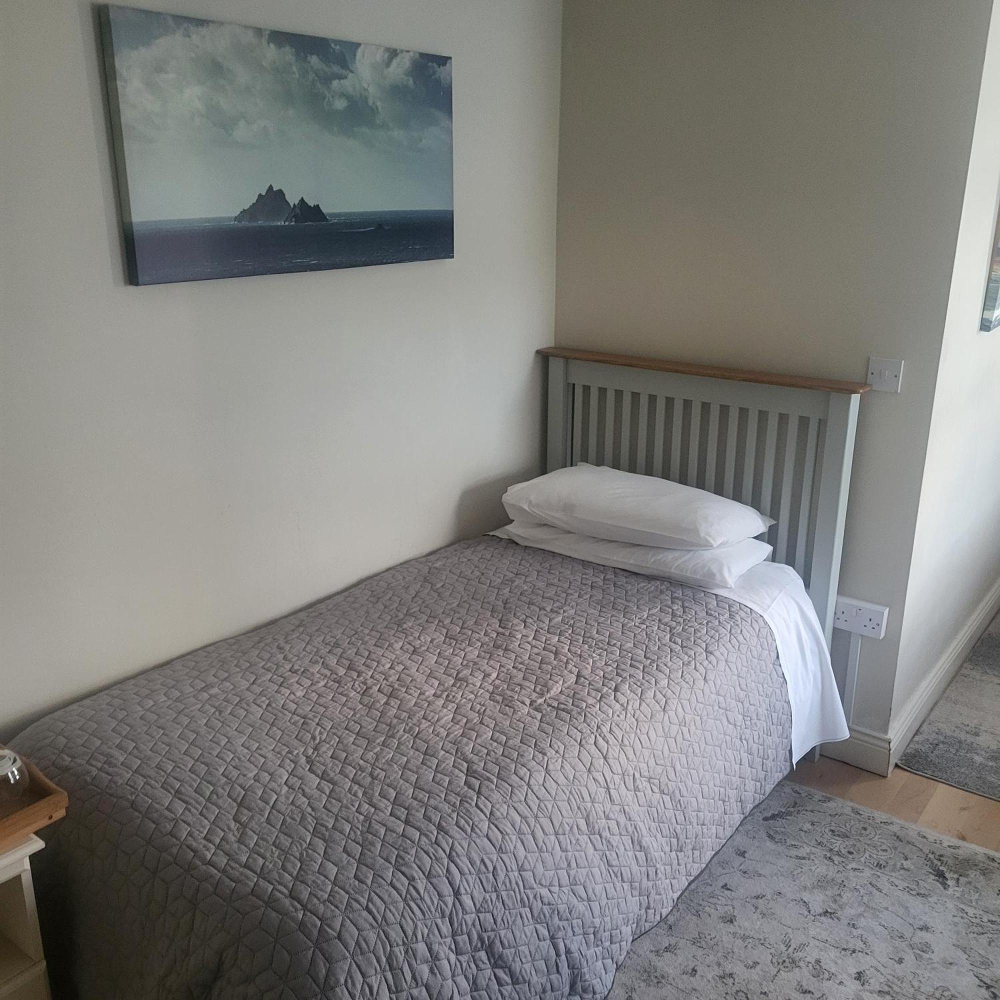Deluxe Double or Twin Room Mountain View