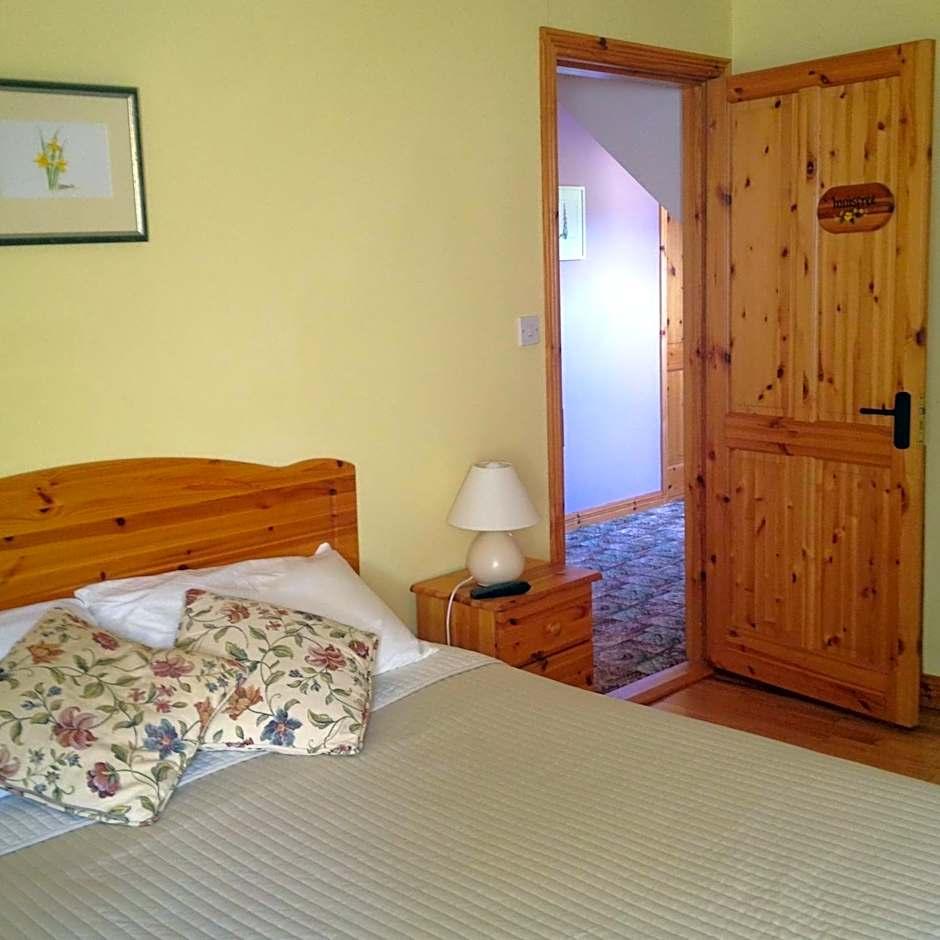 Deluxe Double or Twin Room Mountain View