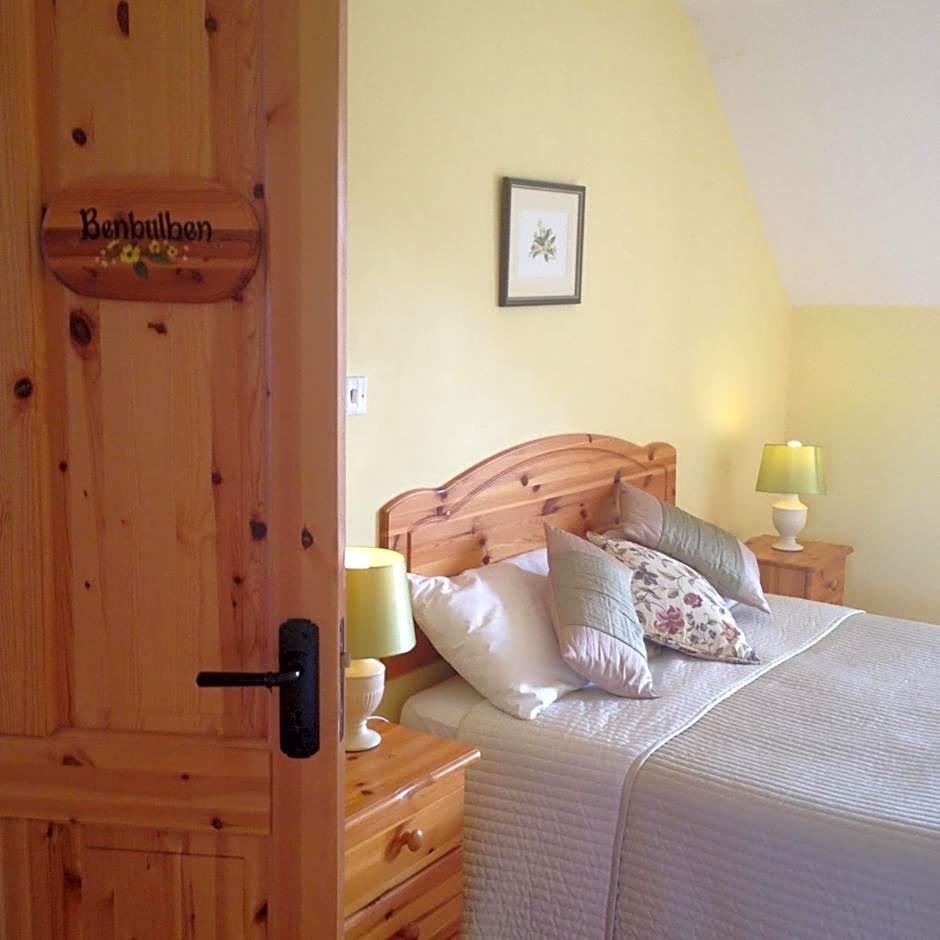 Deluxe Double or Twin Room Mountain View