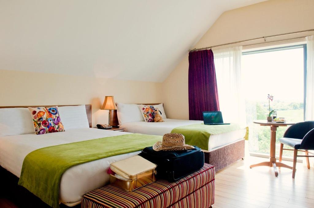 Superior Twin Room with Burren View