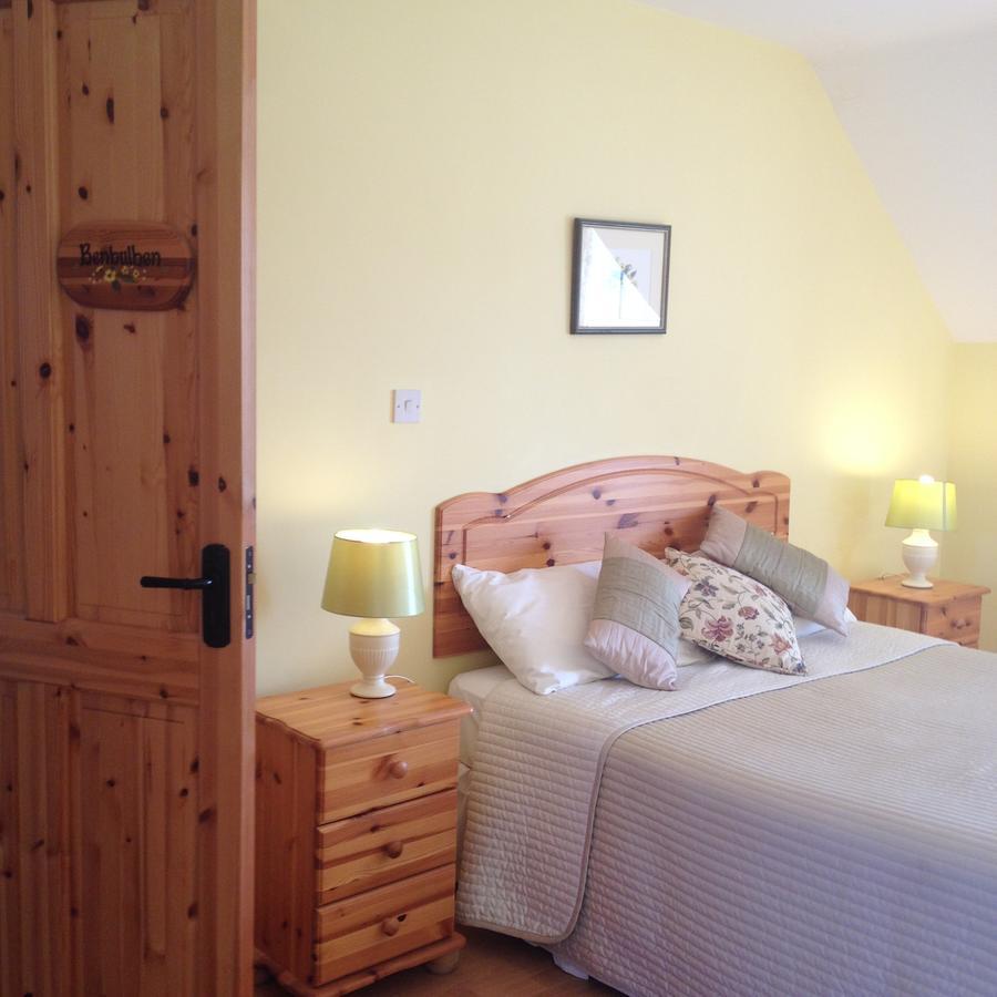 Deluxe Double or Twin Room Mountain View