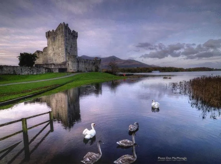 Kathleens Country House-1