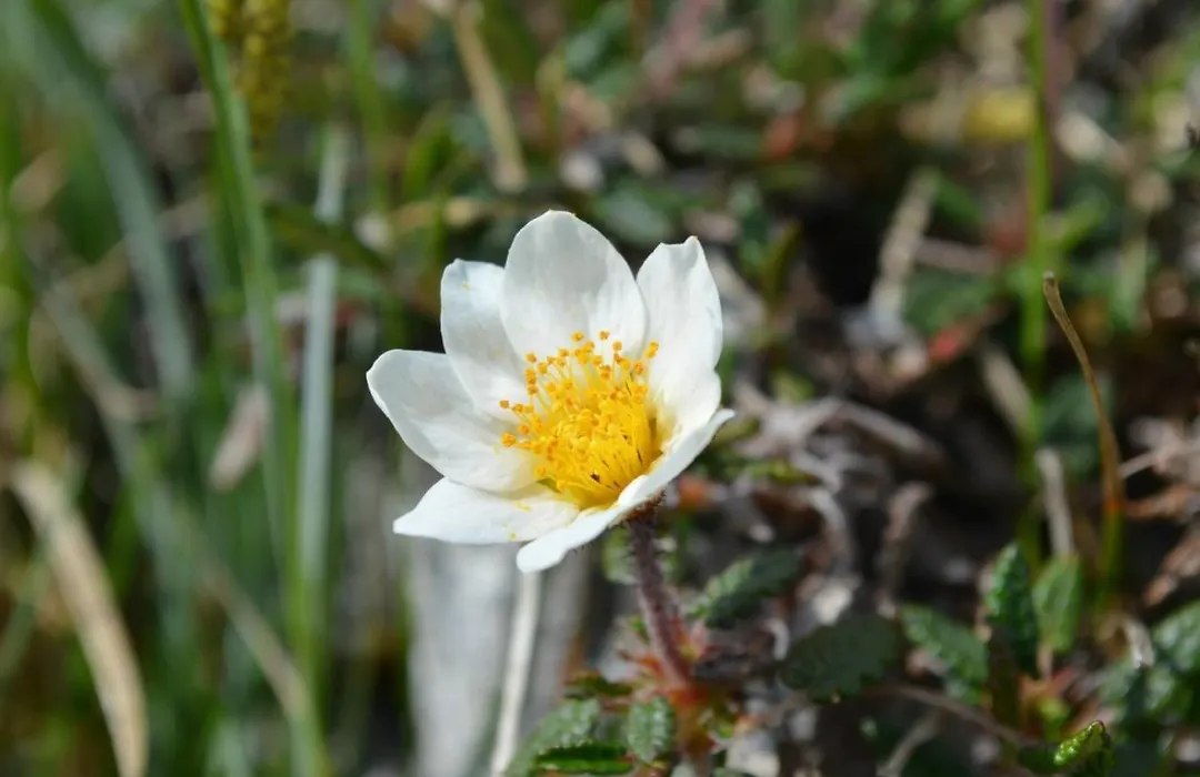 Doolin Lanelodge-1