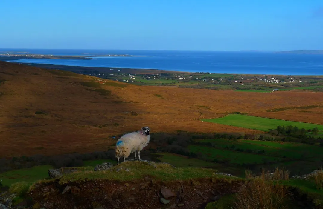 Keanes Of Curraheen, Bar, Restaurant & Accommodation-1