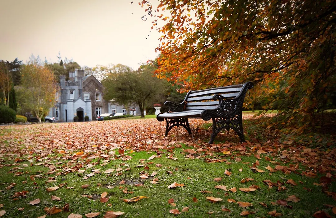 Abbey Hotel Roscommon-1