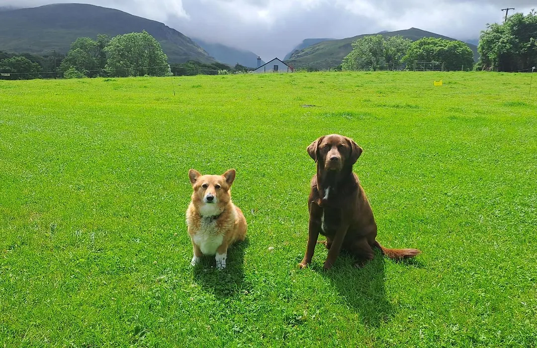 Inveraray Farm-1