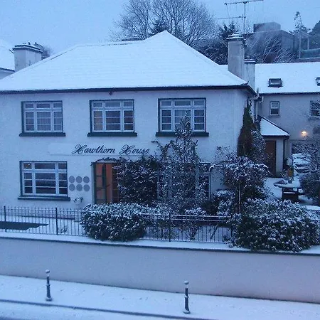 Hawthorn House Guesthouse-2