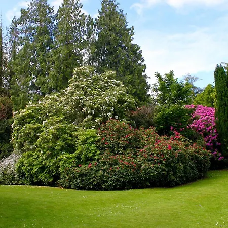 Maryborough Hotel & Spa-2