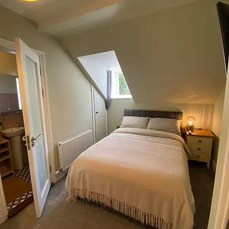 Fern House-2
