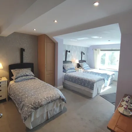 Dublin Airport Beaumont Hospital Marie'S Bed And Breakfast-2