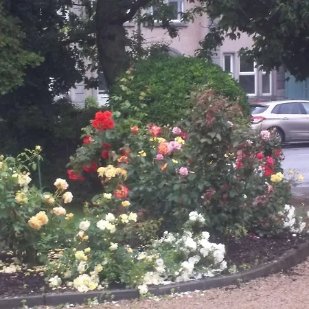 St Judes B&B-3