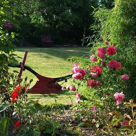 Riverfield Bed And Breakfast-3