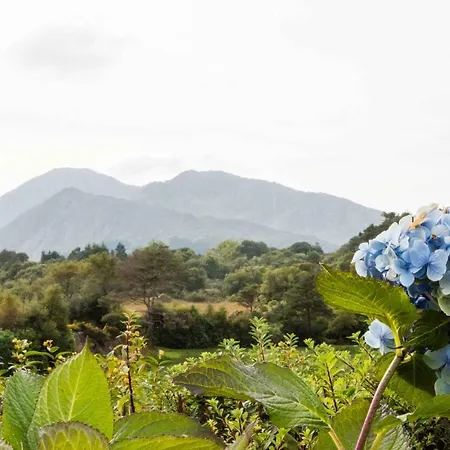 Mountain View B&B-2