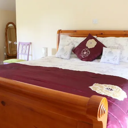 Emy Lakehouse - Near Castle Leslie, Glaslough-2