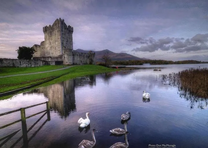 Kathleens Country House Lower Coolcorcoran