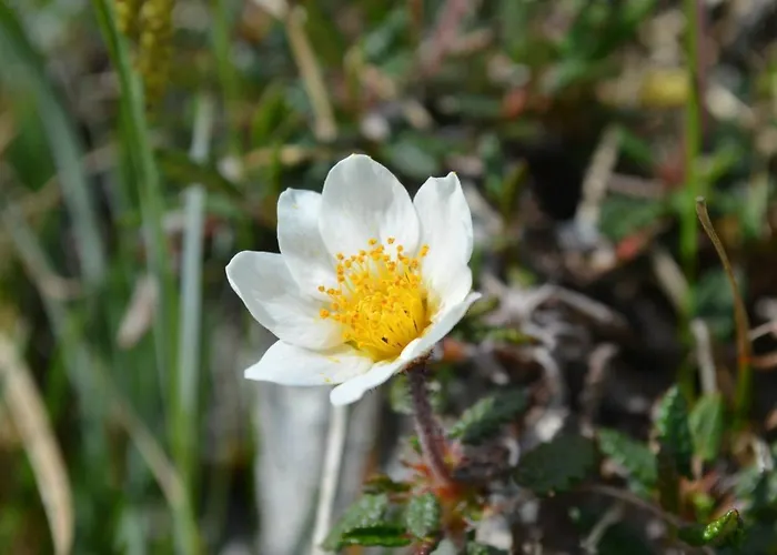 Doolin Lanelodge