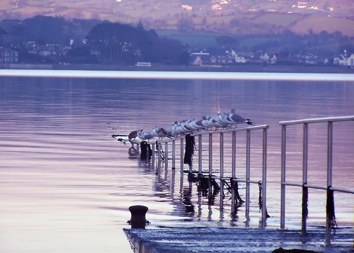 The Oystercatcher Lodge Guest House Carlingford