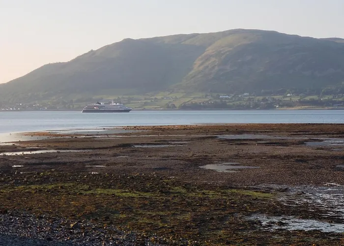 The Oystercatcher Lodge Guest House Carlingford