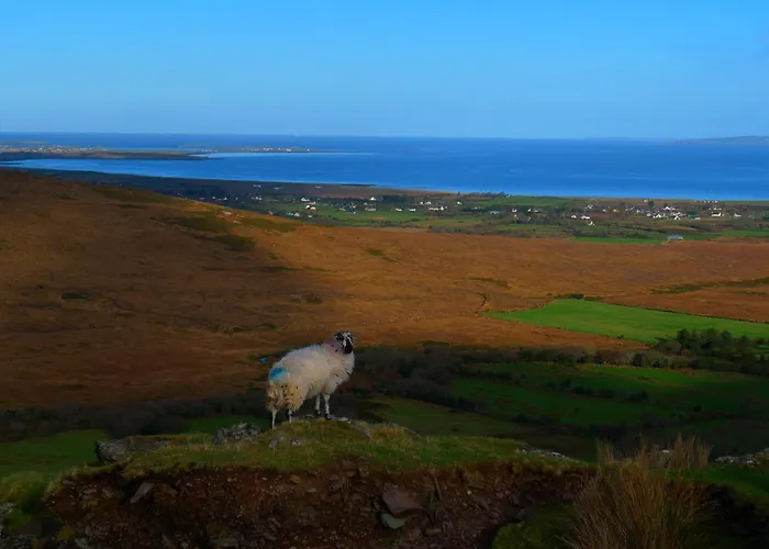 Keanes Of Curraheen, Bar, Restaurant & Accommodation Tralee