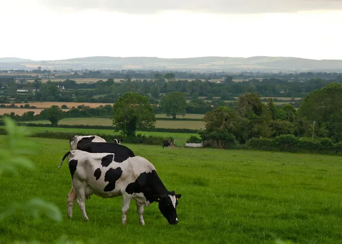 Ballindrum Farm B&B