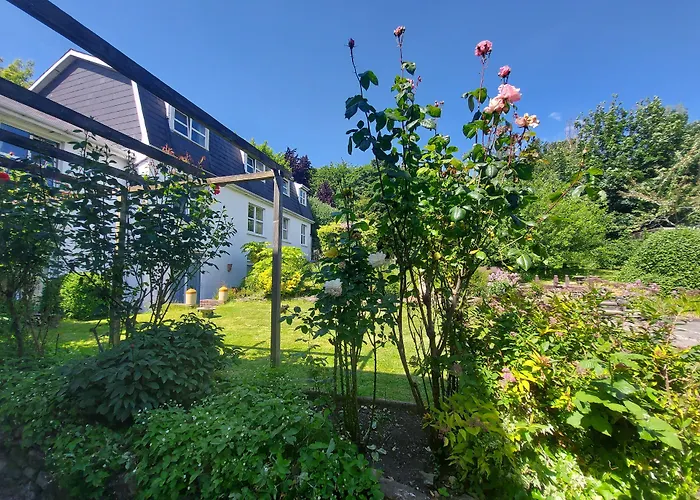Belvedere Lodge Cork
