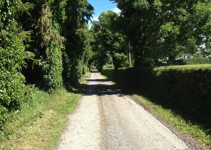 Ballindrum Farm B&B Athy
