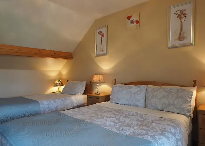 Stonehaven B&B Ennis
